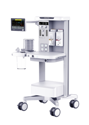 دستگاه بیهوشی دامپزشکی O2 AIR با صفحه نمایش رنگی LCD